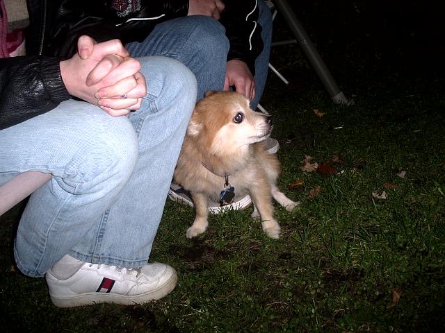 Picture 467.jpg